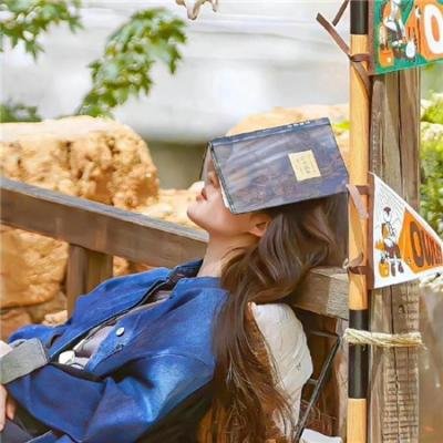 疯狂总动员封面
