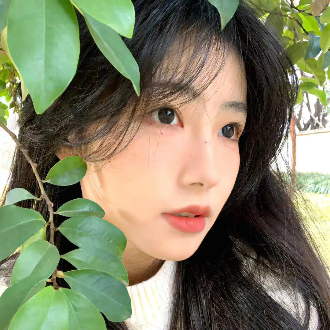 粉红色的梦封面